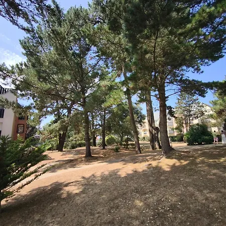 Apartment Loc4loc - Le Castel St Nicolas - *